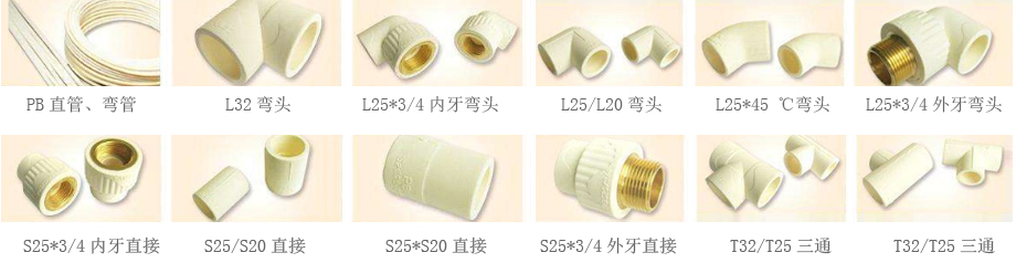 PB給蘑菇官方网站下载入口安卓