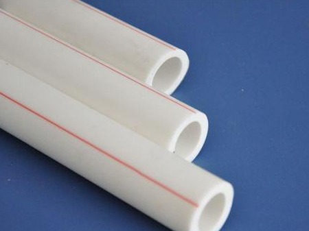 PB給蘑菇官方网站下载入口安卓